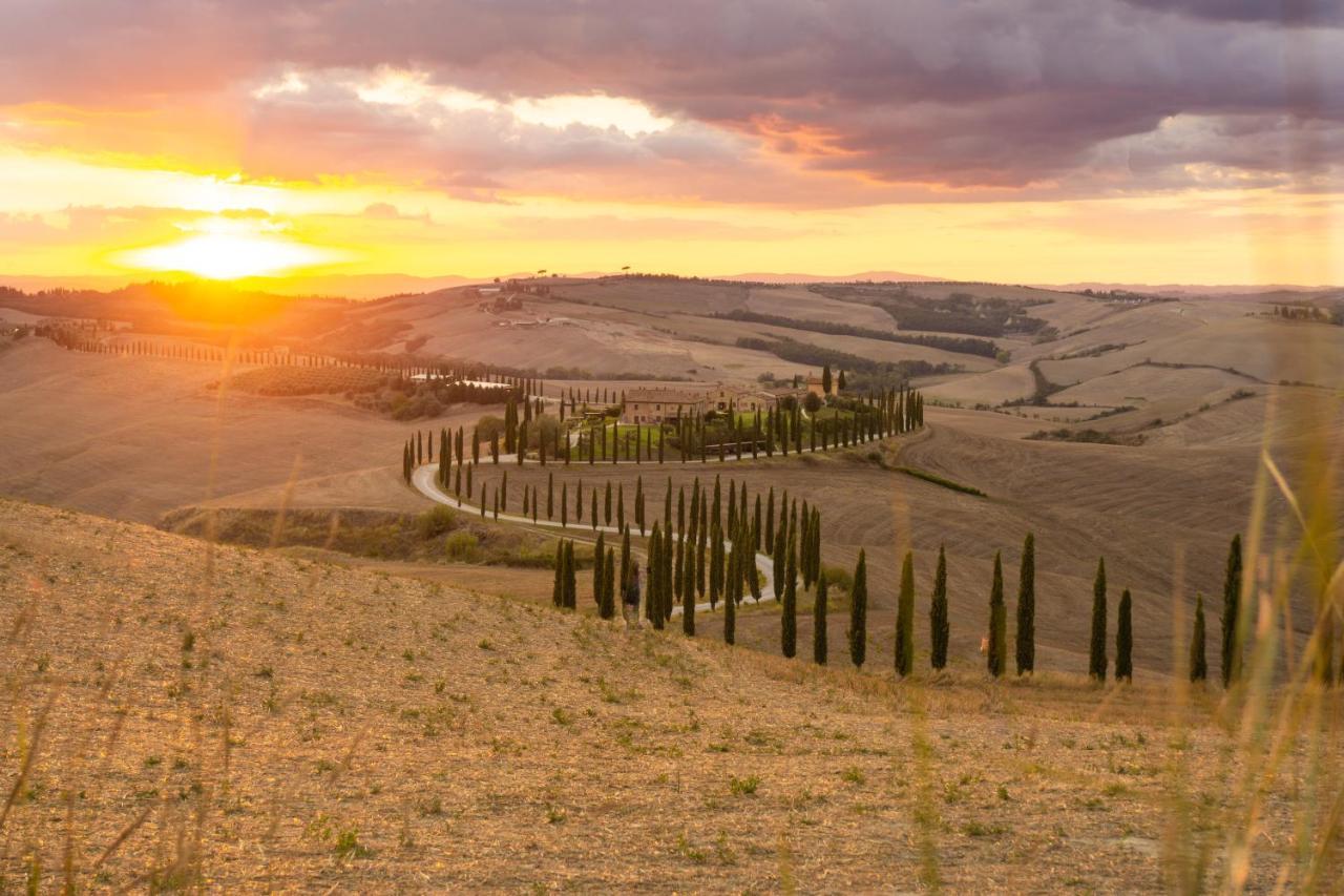 La Stalla De La Costa Asciano Buitenkant foto